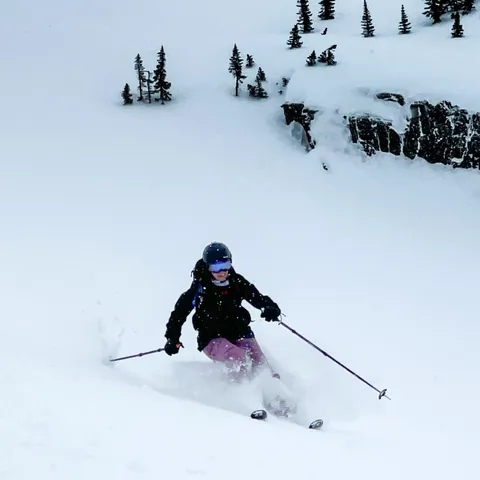 Amy Palamountain